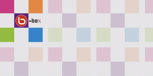 B-Box Web Show - Bebo Profile Skin